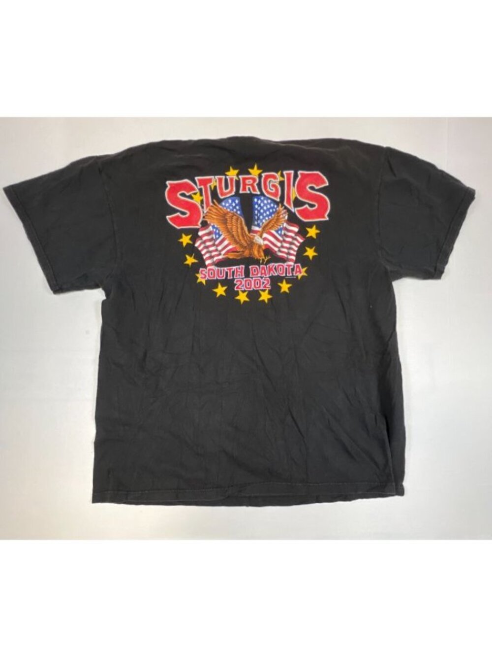 Vintage Delta Pro Weight Men XL Sturgis 2002 South Dakota Biker Graphic T-Shirt - Picture 3 of 8